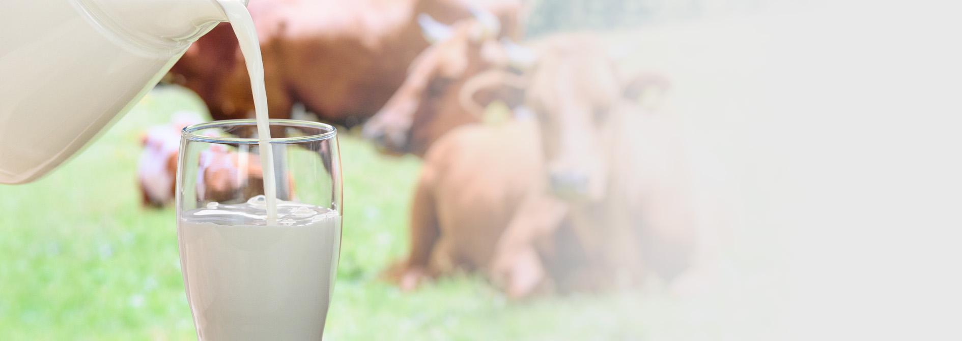 Slajd #3 - wlewanie mleka do szklanki